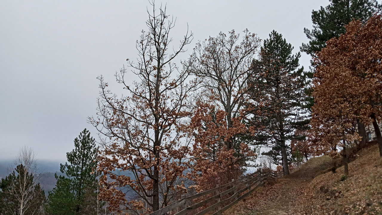 Sirogojno-western-serbia-tour