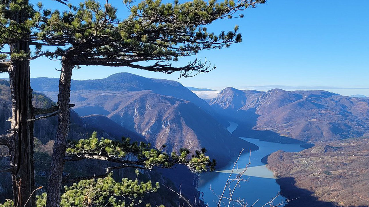 Western Serbia – Tara, Zlatibor and Mokra Gora (3 days)